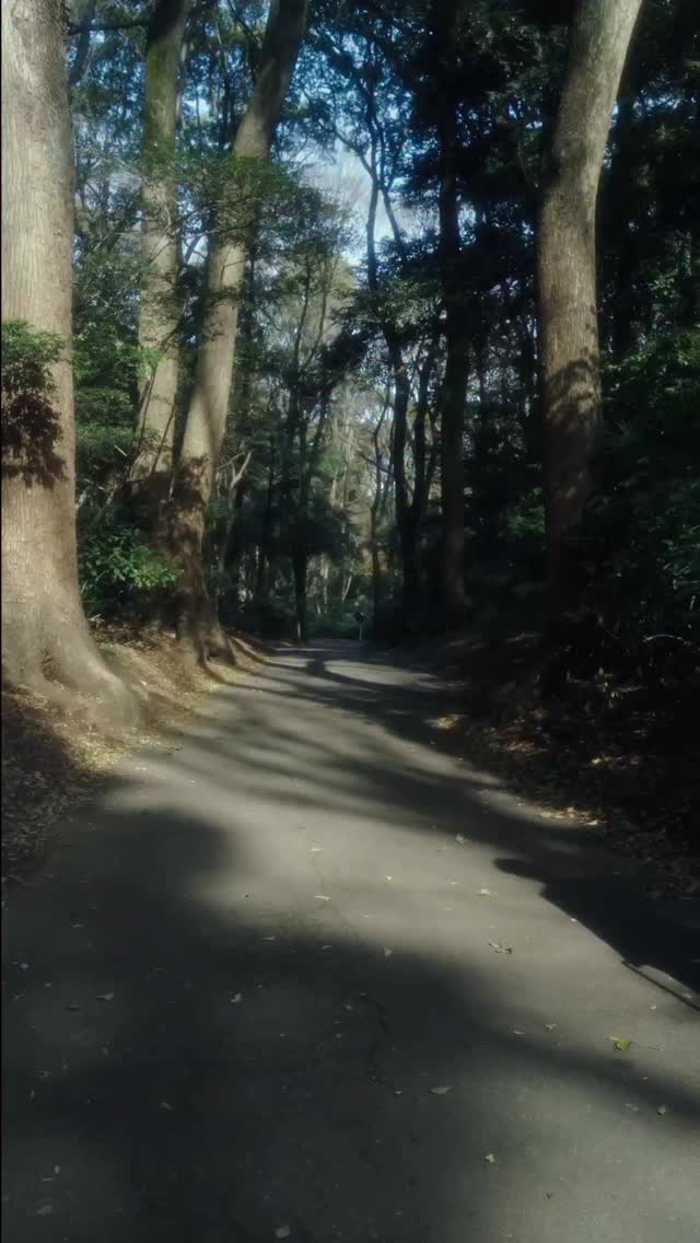 Instagram Image 3